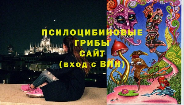 СК Нея