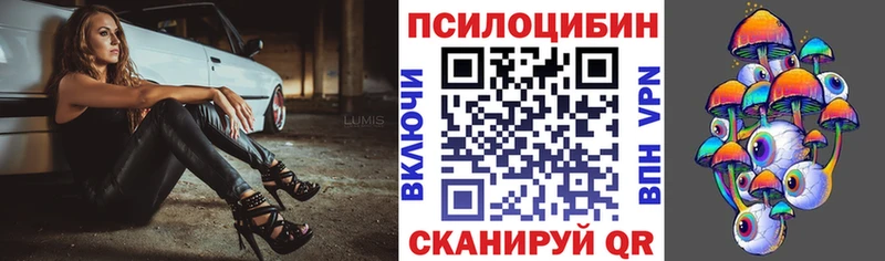 Псилоцибиновые грибы Psilocybe Пыталово
